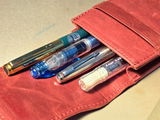 Ananta R. review photo