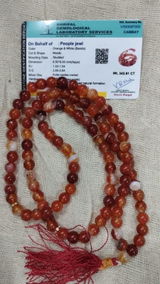 fatima shaikh review photo