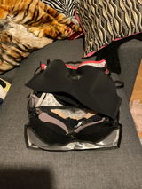 d. review photo