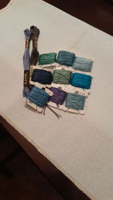 Debra George review photo