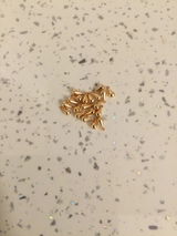 Lou review photo