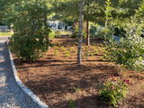 Kathy Farno review photo