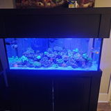 Custom Trace System, a Personalized Supplement for Reef Aquariums created from ICP Test Results