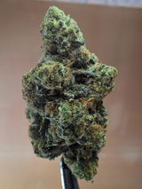 John E Lancaster review photo