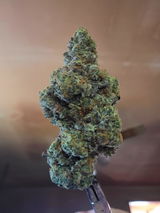 John E Lancaster review photo