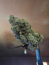 John E Lancaster review photo