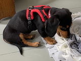 Catherine review photo