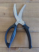 Nuno review photo