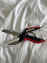 Giorgia L. review photo