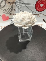 Chantel Smit review photo