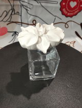 Chantel Smit review photo