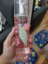 Czai T. review photo