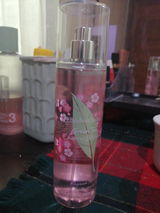 Paz D.O. review photo