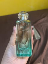 Meleth C. review photo