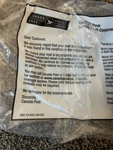 Cindy review photo