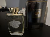 Rainel Mustelier review photo