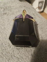 Iueg review photo