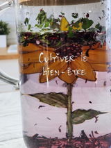 JULIE DESORMEAUX / symbiose herbo. review photo