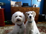 Randy H. review photo