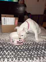 ROSIE O. review photo