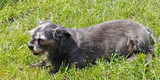 Patrick C. review photo