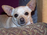Elizabeth D. review photo
