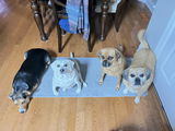 Debra G. review photo