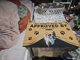 Cathy P. review photo