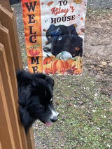 Lettie S. review photo