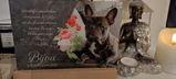 Janin N. review photo