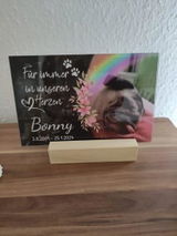 Dorothee D. review photo
