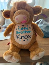 Etsy customer review photo
