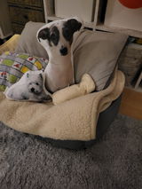Jana review photo