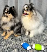 m. review photo