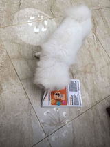 J. review photo