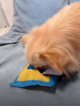 S.C. review photo