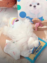 S. review photo