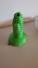 Vesna review photo