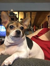 Anonymous review photo