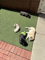 L. G. Keeley review photo