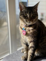 Danni review photo