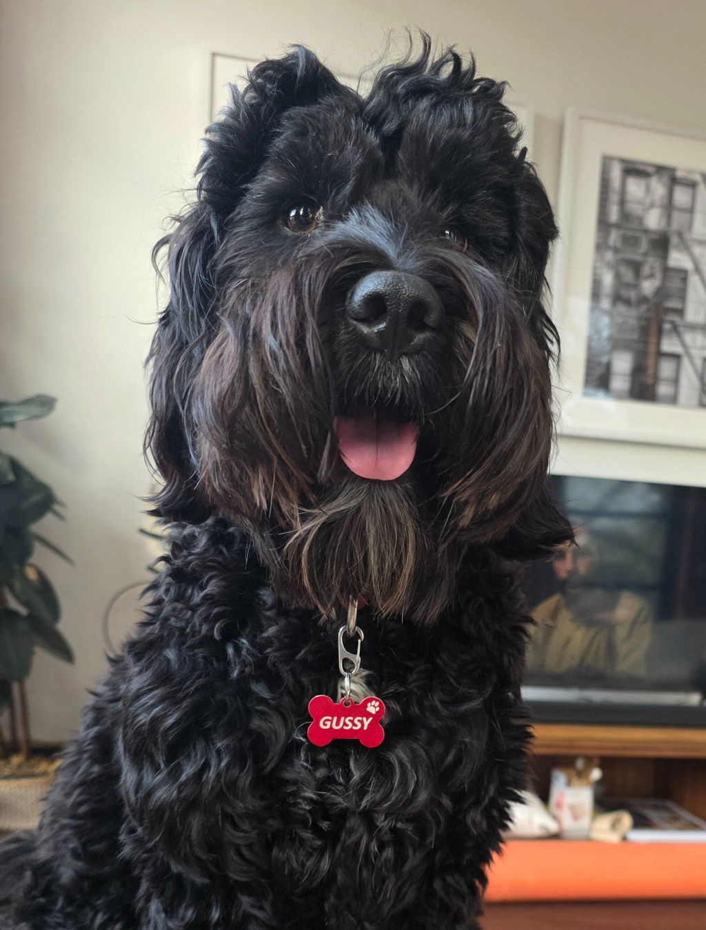 Bone Dog Tag - Red
