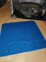 linda review photo