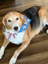 Juan M. review photo
