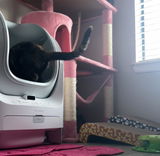 Open-top Smart Litter Box [C1]
