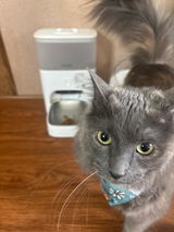 Smart Camera Feeder [M3 Pro]