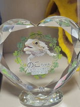 美紀 永田 review photo