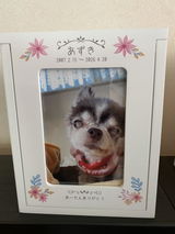 あずき review photo