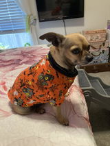 Katerescues Bartholomew review photo