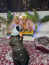 Sangeeta Jatia review photo
